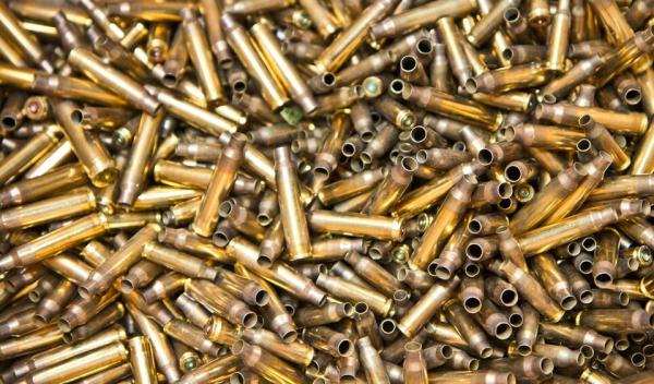 10 Patronenhülsen Kaliber .223 Rem 5,56x45mm